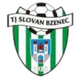 霍尔尼布里扎 logo