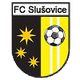 FC流冰 logo