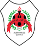 阿尔赖扬U21 logo