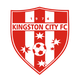 金士顿城 logo