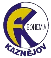 卡兹涅约夫 logo